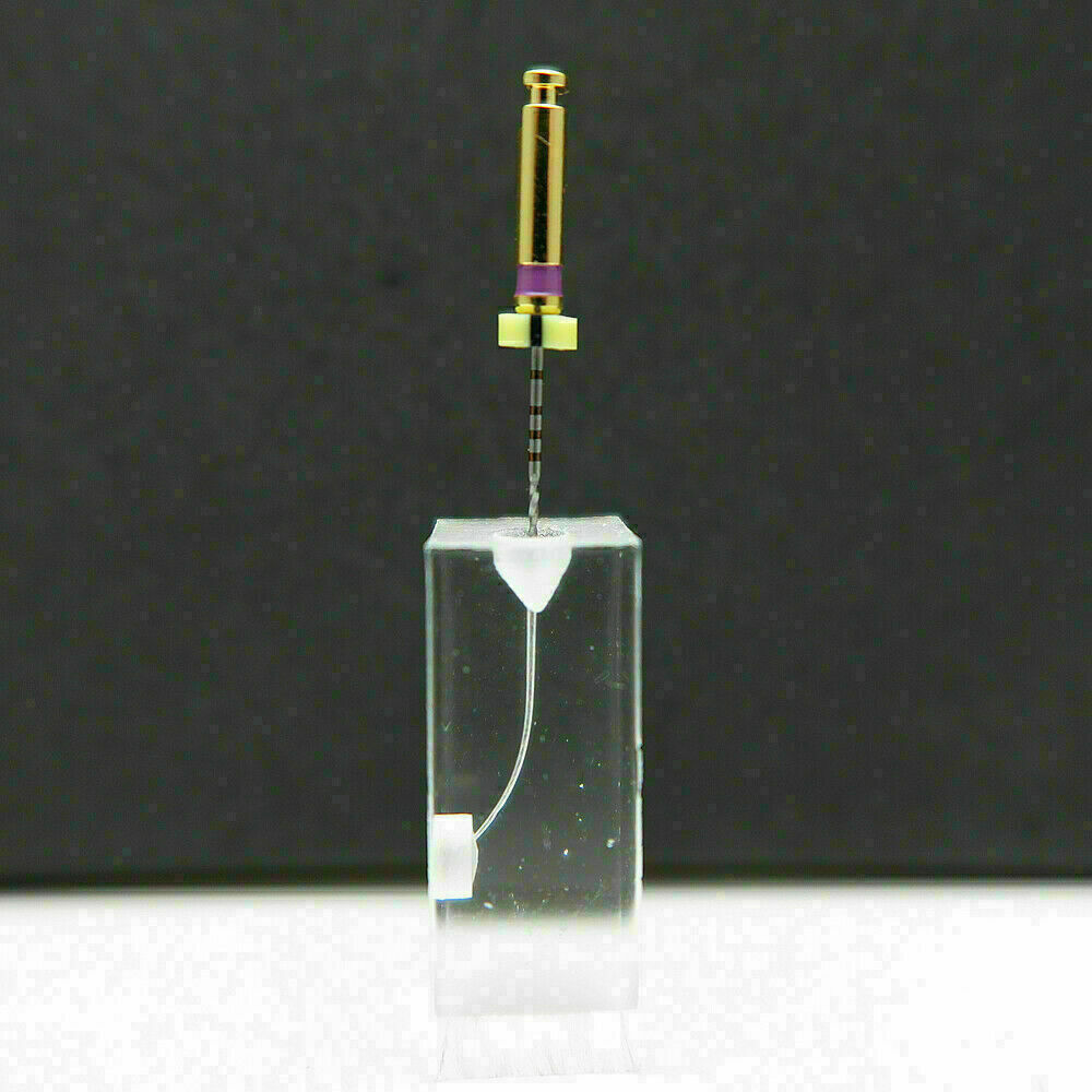 Dental Module Model Pulp Practise Root Canal Dentist Study Endo Training Tubes