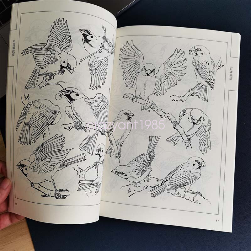 Hundred of Sparrows Drawing Sketch Line Draft Tattoo Design Flash Book Reference