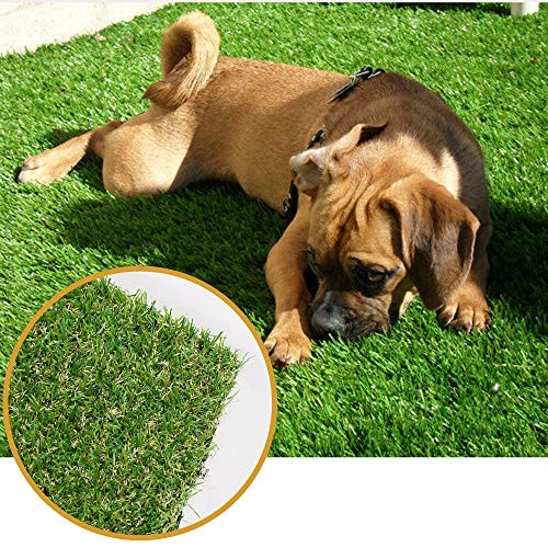 Thick Realistic Artificial Grass Mat Customized Sizes, 5ft x 10ft 5 x 10ft