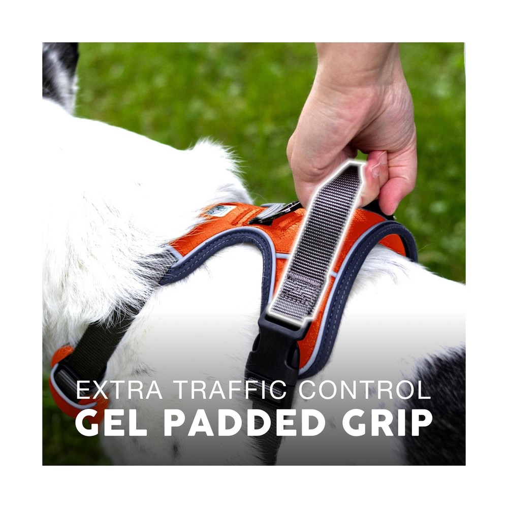 Embark Adventure No Pull Dog Harness, Reflective Trim No Pull Harne... Fast Ship