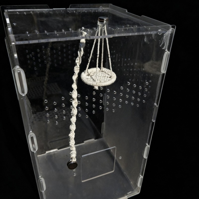 Jumping Spiders Platform Perch Woven Bed Terrarium Decors