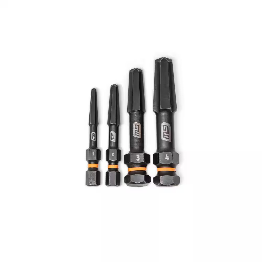 Bolt Biter Screw Extractor Set with Case (4-Piece)