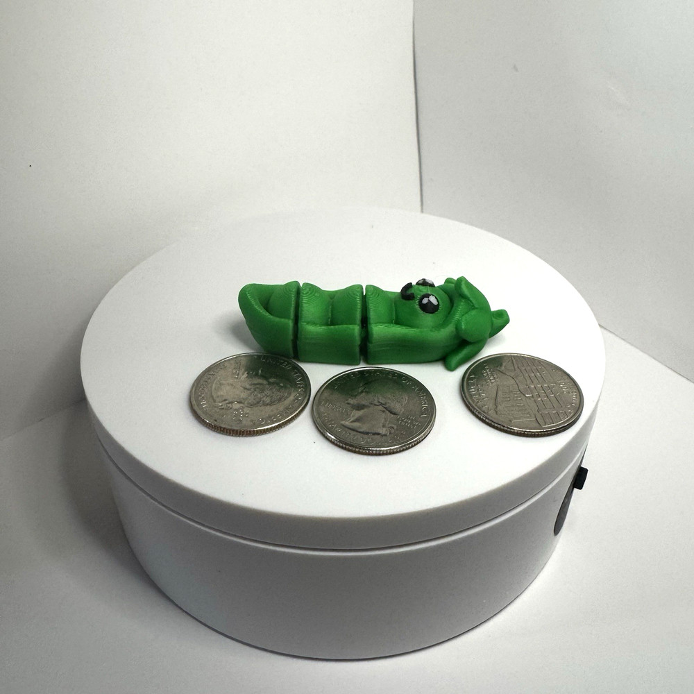 (5 Pack) Pea Pod Fidget Toy