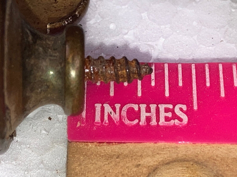 8 Antique Solid Brass Shell Drawer Door Pull Knob Handle Cupboard Screw 2 cm