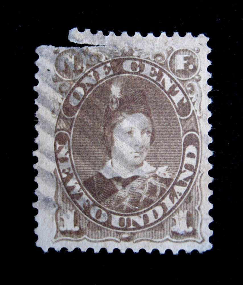 CANADA/NEWFOUNDLAND - SCOTT# 41 - USED - CAT VAL $11.50