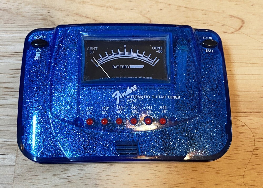 VINTAGE PALMER Acoustic