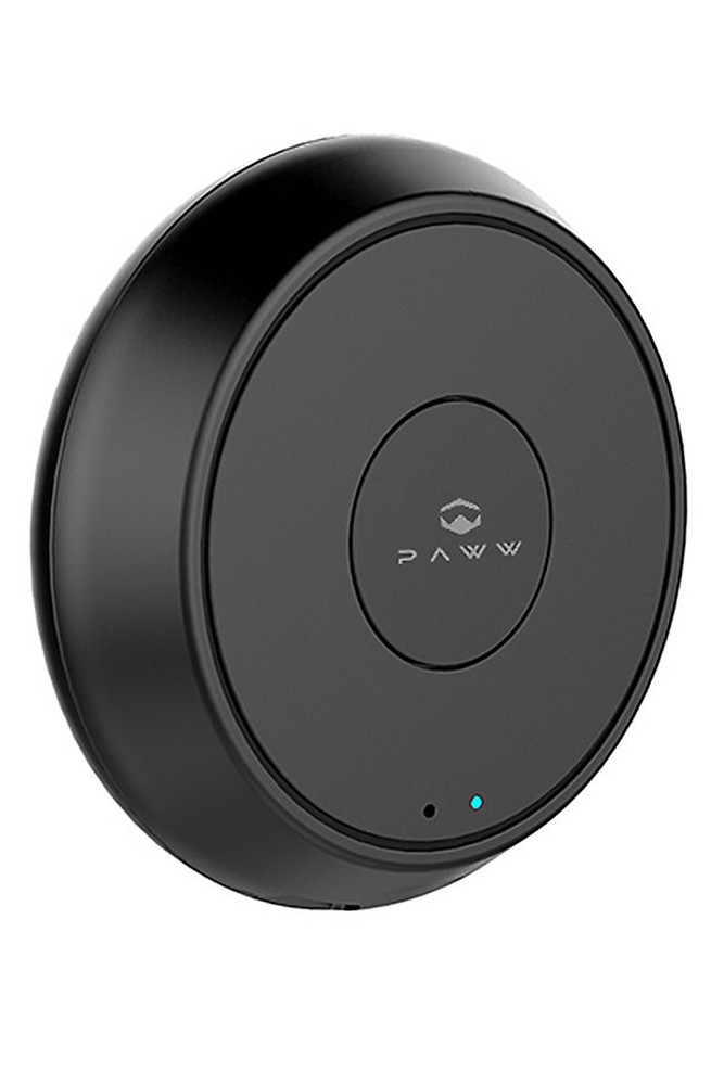 Paww Wavecast RX v2 Bluetooth Receiver w/ Built-In Amplifier
