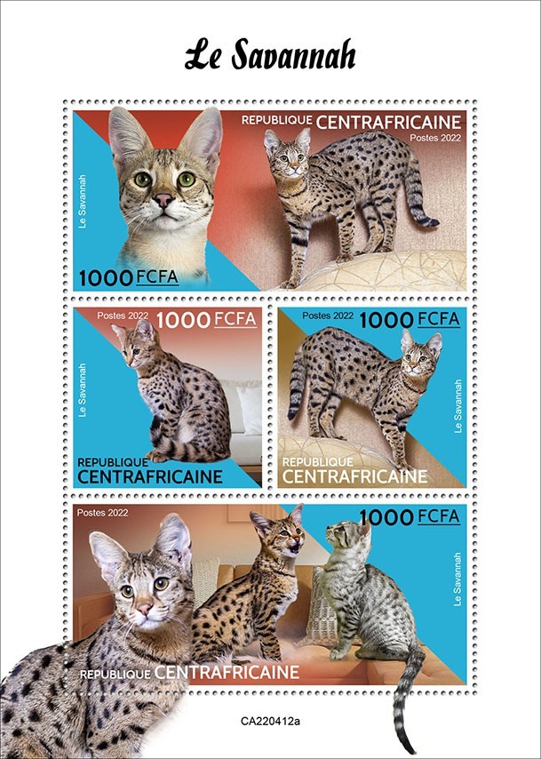 Savannah cat