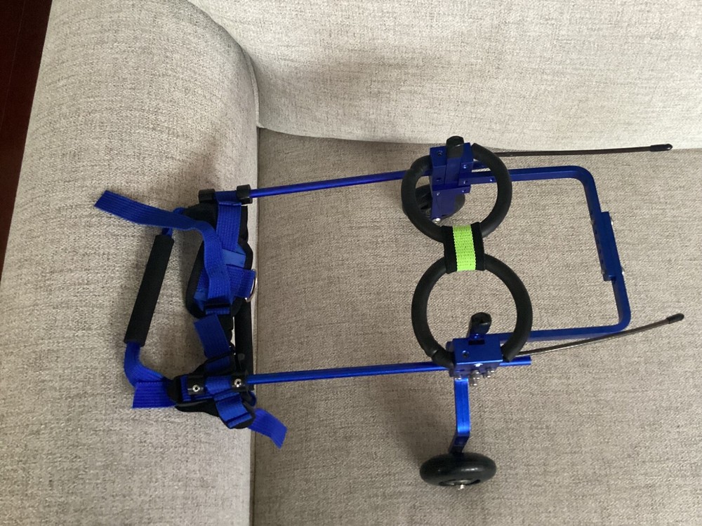 Small Dog & Cat Adjustable Walking Wheels