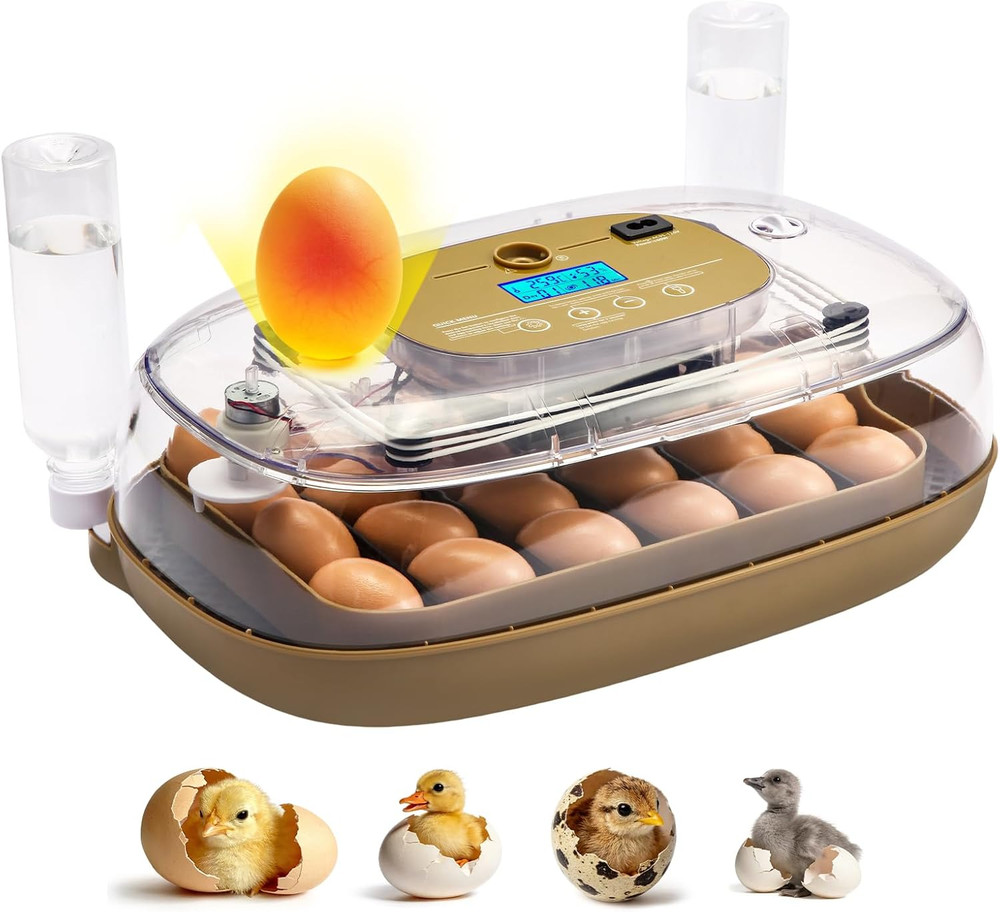 24-Egg Incubator with Auto Turner & Temp Control for Chickens, Ducks & More