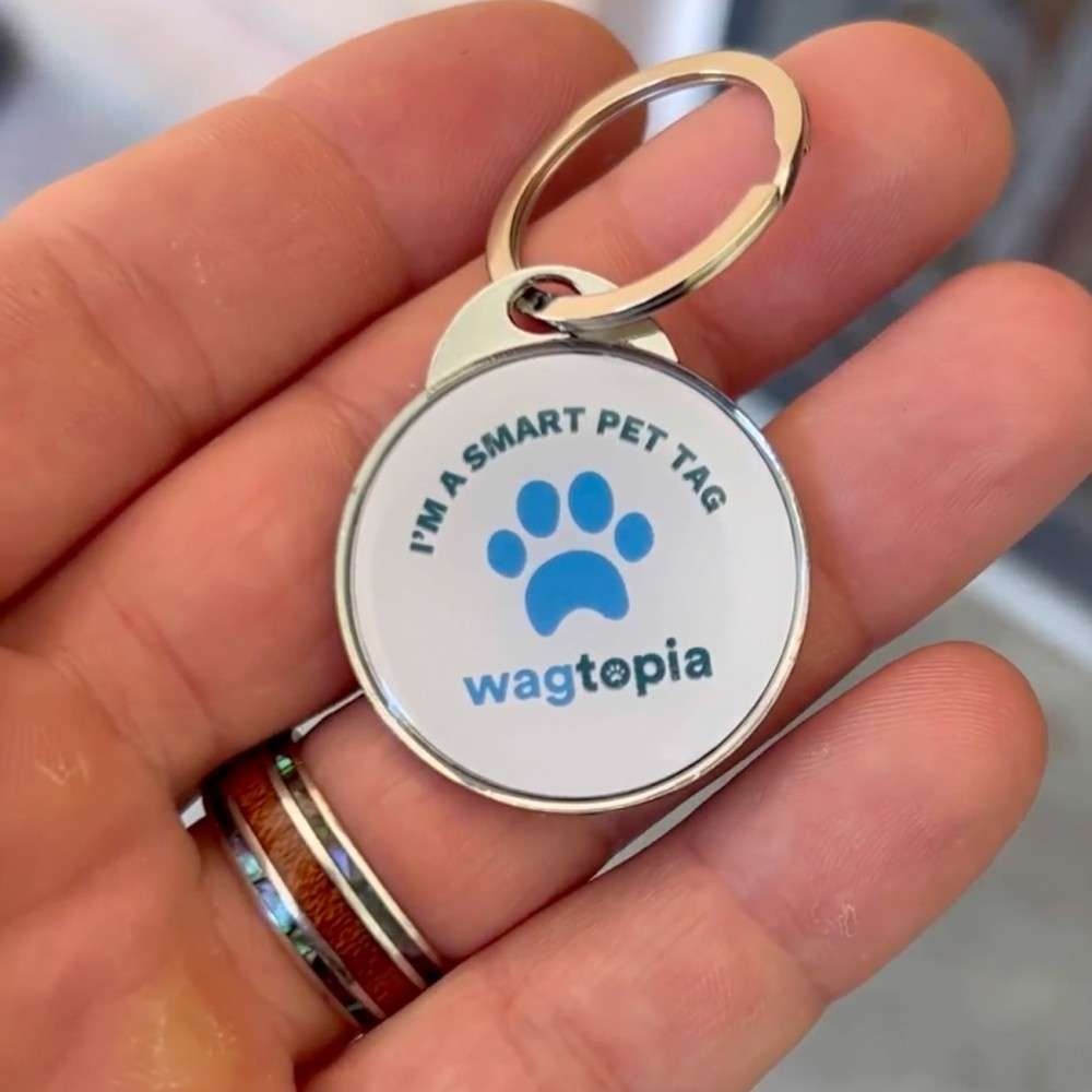 wagtopia Smart Pet Tag QR Code Engraved Personalized Metal ID Tag White