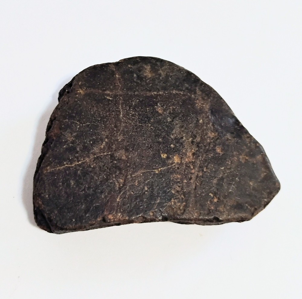 6 Petrified Fossil Bones