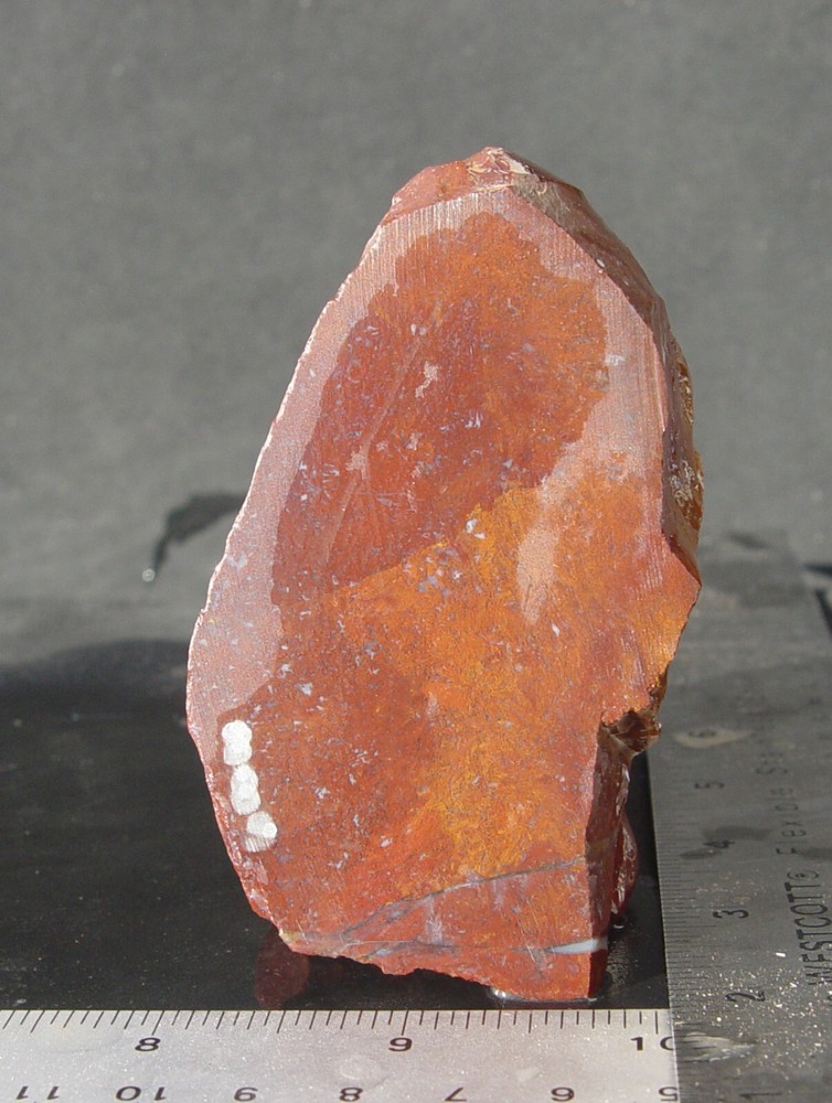 Red Moss Agate   Small Lapidary Rough                               889