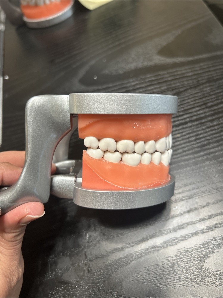 Acadental Optioned MP_R320