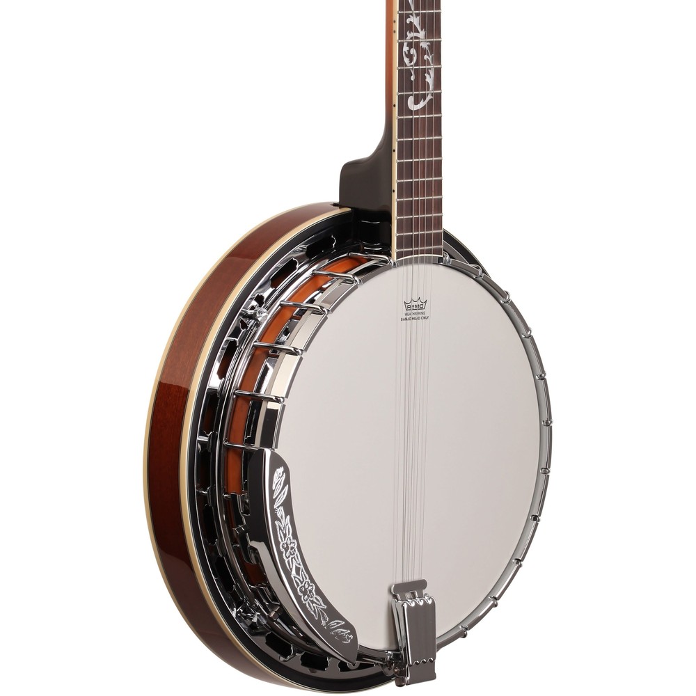 IbanezB200 5-String Closed-Back Banjo,Natural