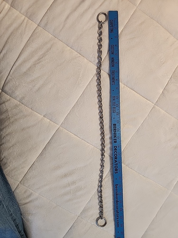 Dog Training Choke Collar 25”