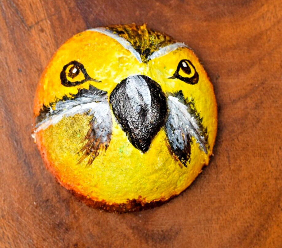 Coconut shells hand painted with different faces specified for hotel decorations