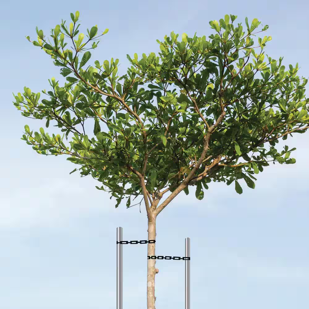 Chainlock 1/2 In. X 100 Ft. Tree Support