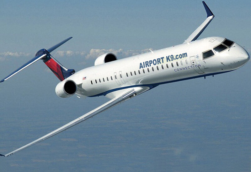 airportk9.com & airportk-9.com domain names
