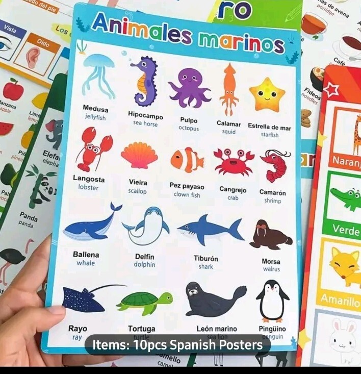 10 Theme Laminated Spanish Words Learning Chart Cards Classroom Teaching Aids