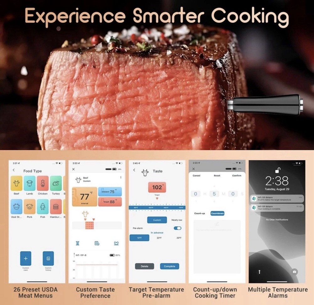 Wireless Meat Thermometer INT-11P-B, Bluetooth Meat Thermometer for Grilling ...