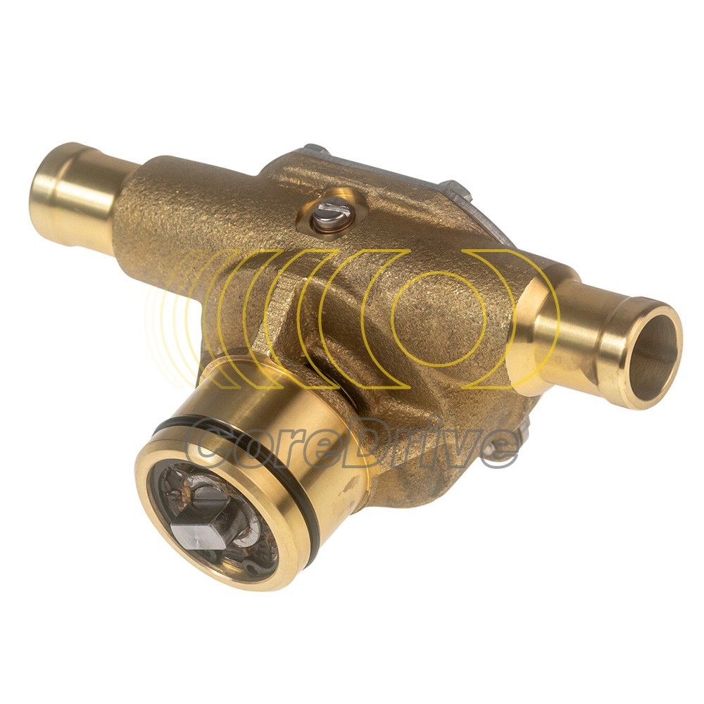 High quality Johnson pump 102496702 F4B-9 flange mounted impeller pump CoreDrive