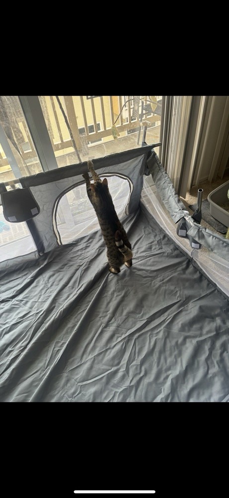 Large Baby Playpen