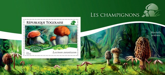 2014 TOGO MNH. MUSHROOMS  |  Y&T Code: 942  |  Michel Code: 6395 / Bl.1096