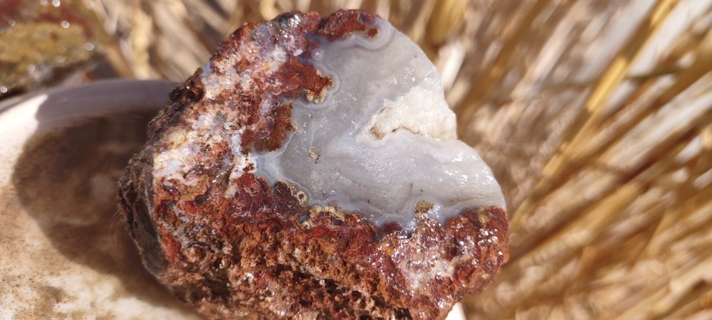 Specimen Blue Chalcedony Beautiful Agate Geode Collector Special
