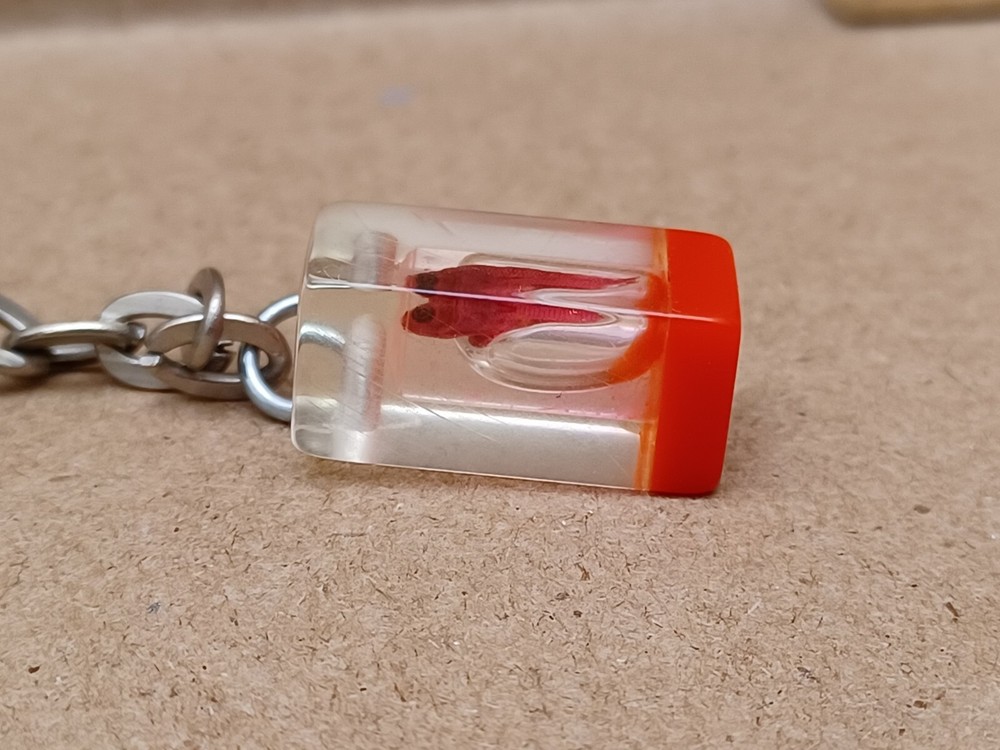 Fish Specimen Acrylic Encased Keychain