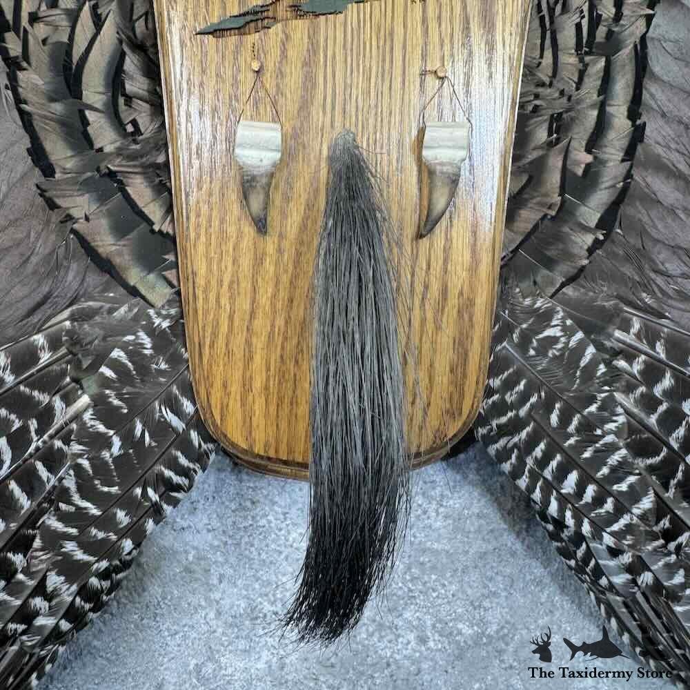 #30783 E | Eastern Wild Turkey Display Mount For Sale