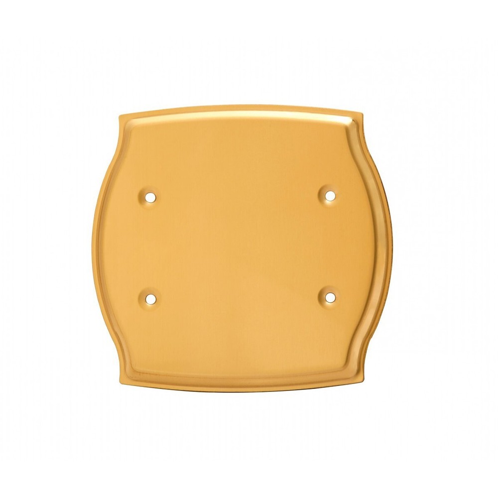 Switchplate Bright Solid Brass Double Blank | Renovator's Supply