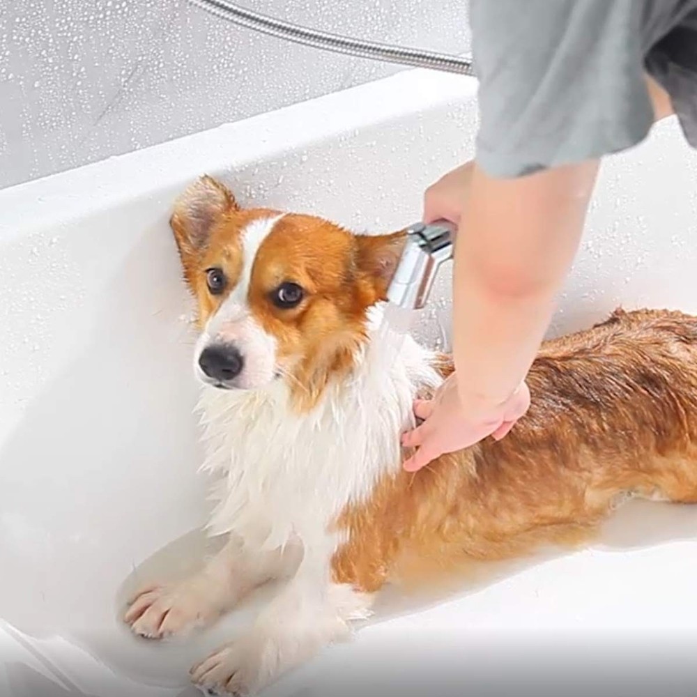 SUMERAIN Pet Shower Sprayer, Dog Attachment with Solid Brass Chrome