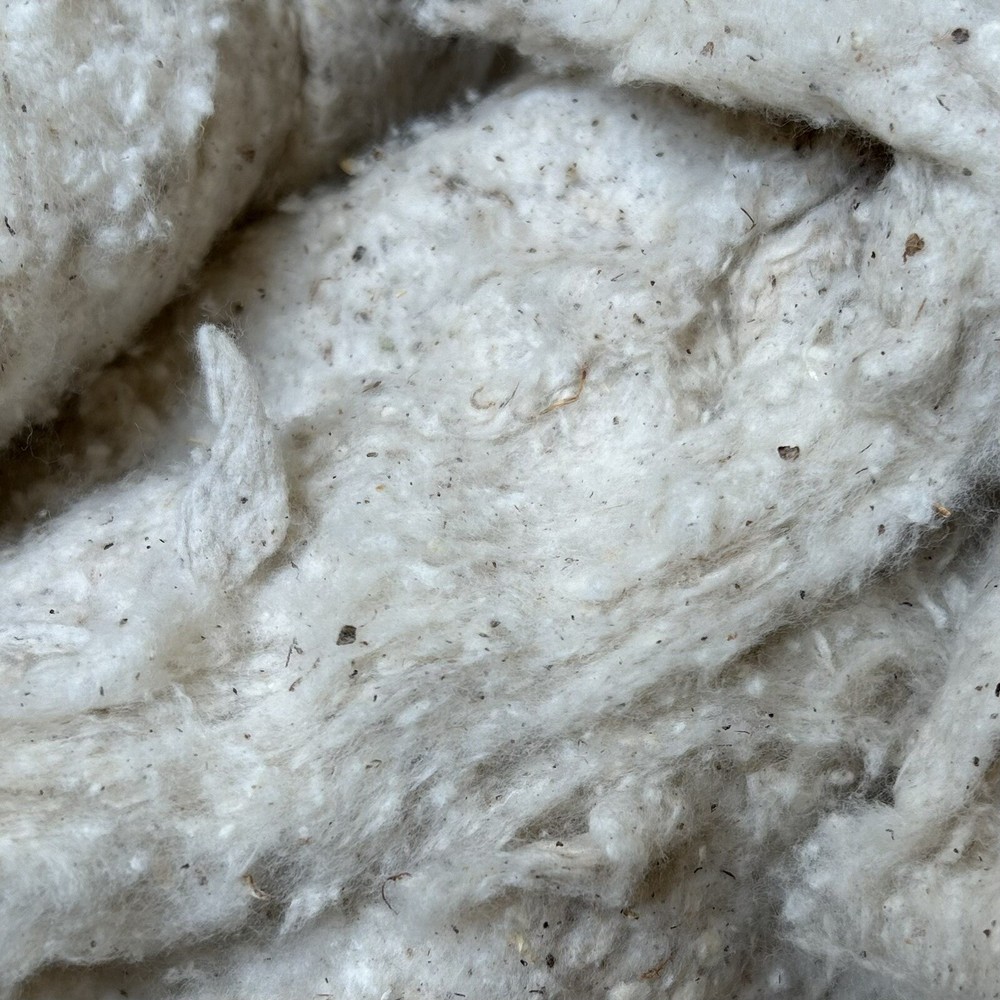 2 lbs Washed Natural Sheep Wool for Stuffing