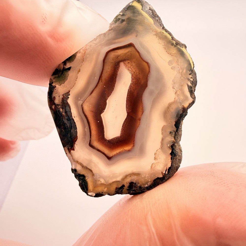 3pc Moroccan Agate Bundle 3.15oz Polished Fortification Moss Agate Slab Specimen