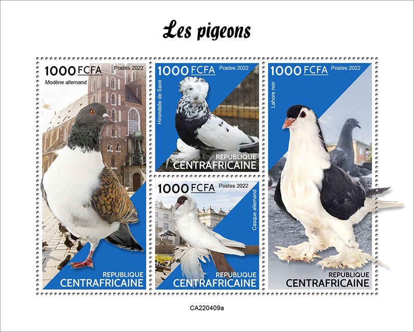Pigeons