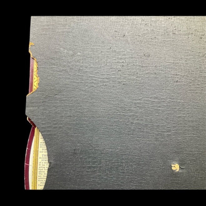 1943 Illustrated BODYSCOPE Folio