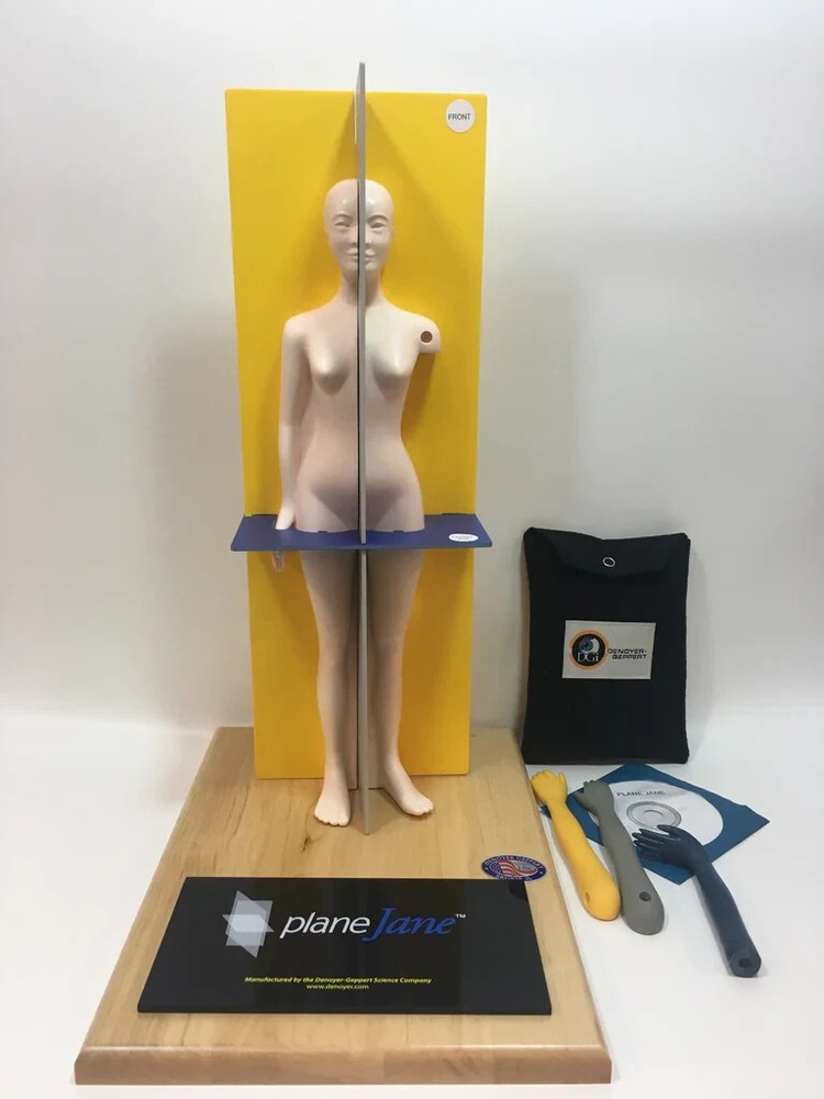 Denoyer-Geppert 0799-00 Plane Jane Complete Learning Package