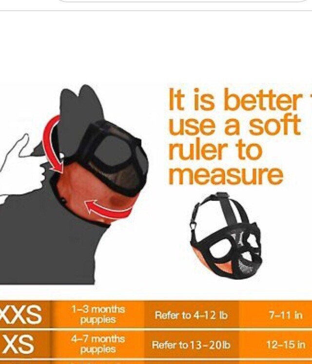 Tandd Short Mouth Muzzle Dog Flat Face