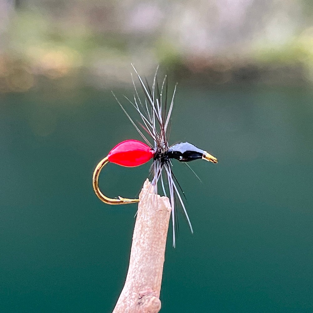 Black Flying Ant | Size #12
