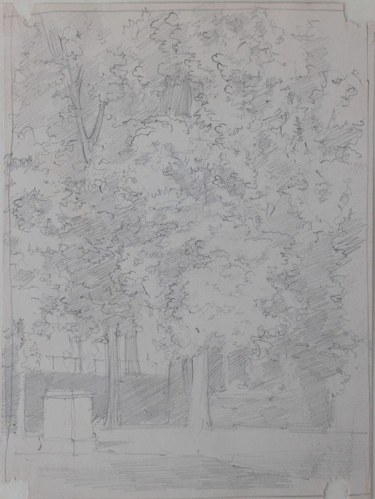 Park Tree Study Pencil Drawing 19th Century