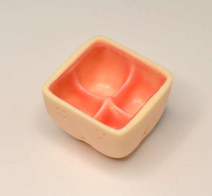 Maxillary Sinus Lift Practice Model Dental Training Dentistry Education Handmade