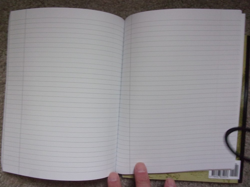Two Halloween Theme Composition Notebooks