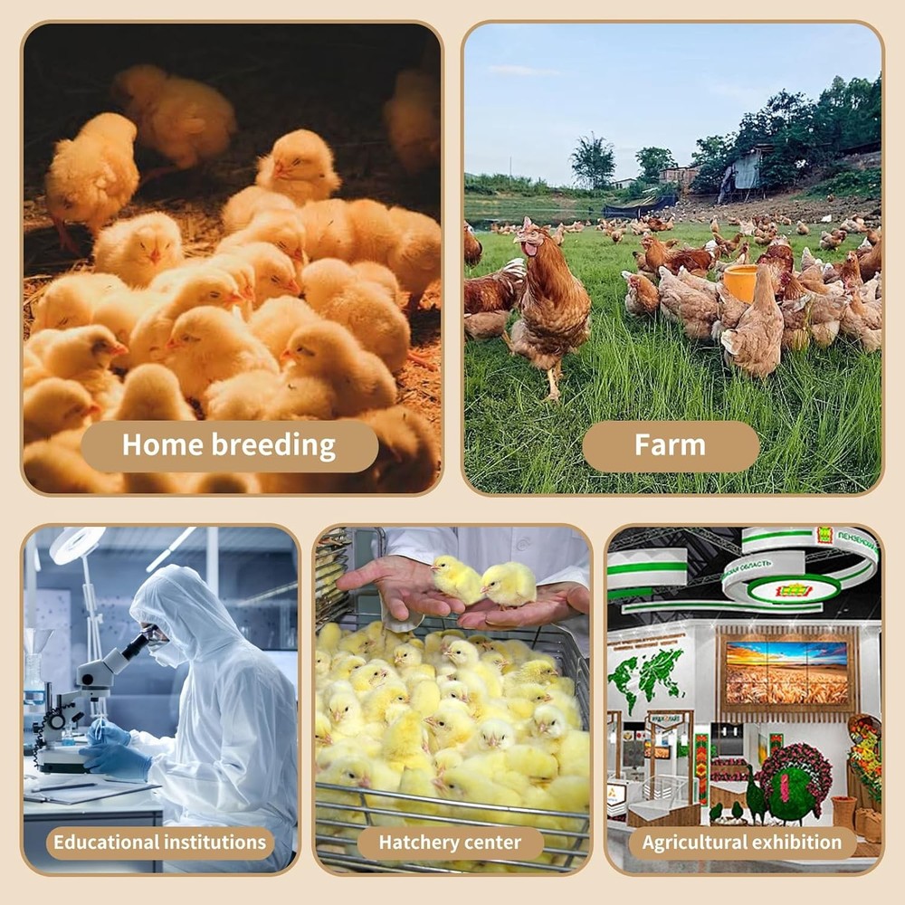 22-Piece Large Chicken Brooder Box 32", All-In-One Kit, up to 35 Chicks Capacity