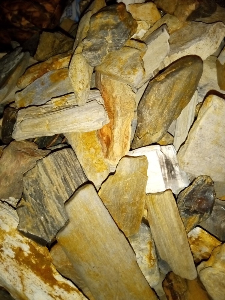 petrified wood pieces!