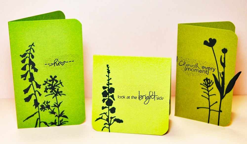 Sizzix Thinlits Wildflowers #2 #661808 7pk set Retail $22.99 designer Tim Holtz