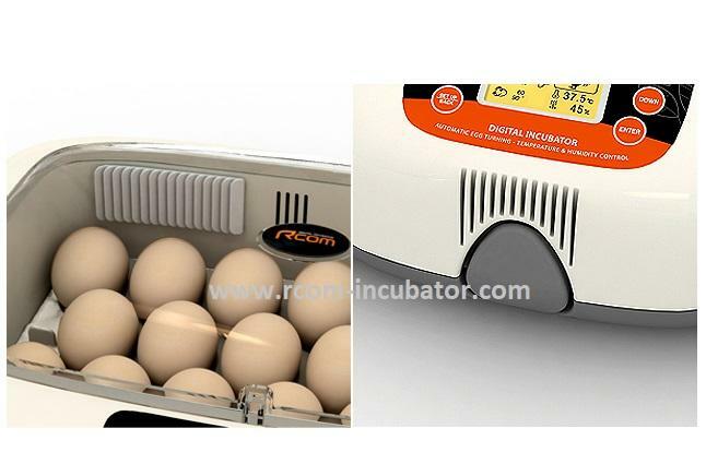 Rcom Max 20 MX-20 Digital Fully Automatic Incubator with Autoturn Egg Functions