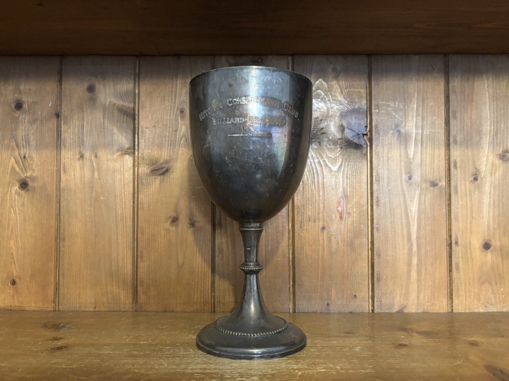 Medium/Large Billiard silver plate trophy, trophies