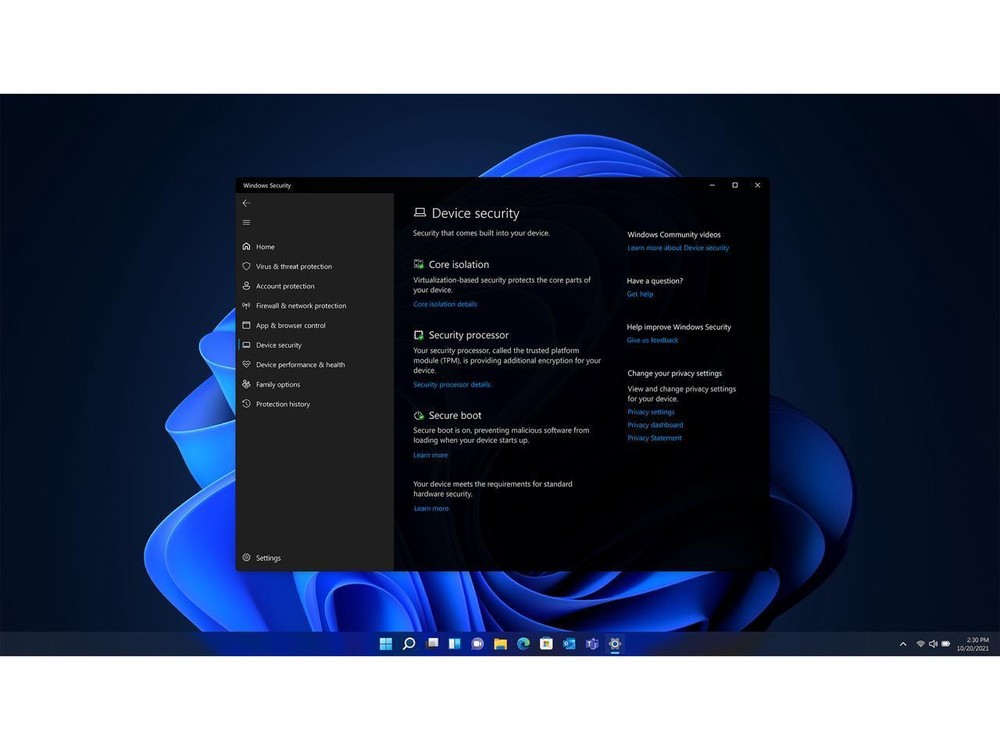 Microsoft Windows 11 Pro (USB)