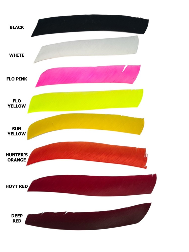 Ozark Full Length Left Wing or Right Wing Solid Feathers - 1 Dozen